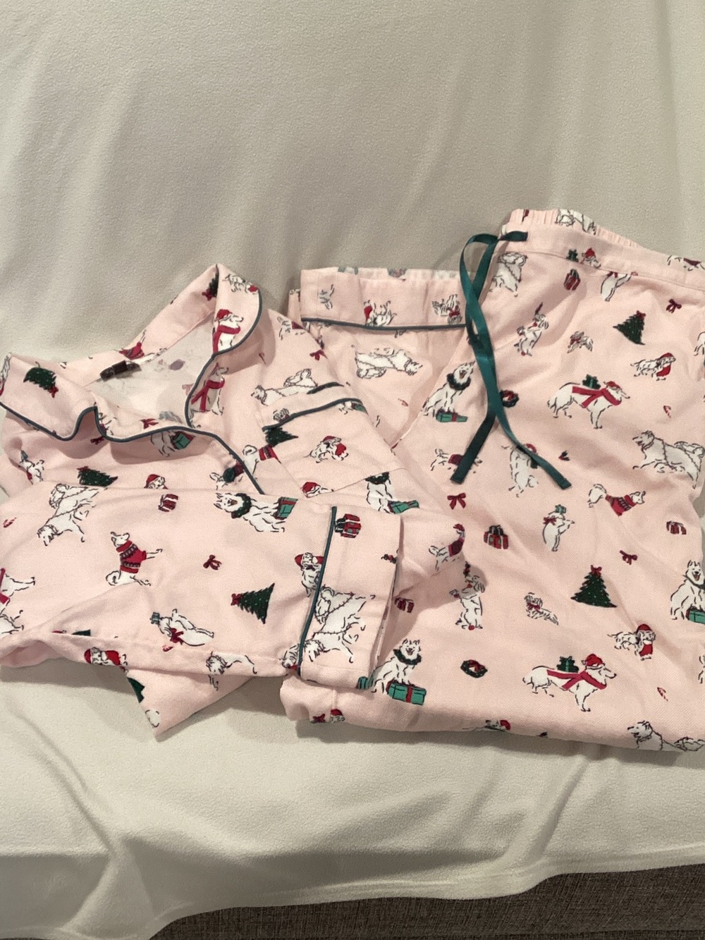 Talbots Pink Puppy Holiday Print Adult Pajama Set with Green Trim